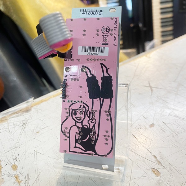 ALM Busy Pamela's New Workout | 中古新入荷商品 | | えちごや