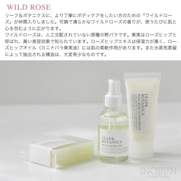 【Puninifu-プニニフ】ボタニカル美容乳液 300g 3本セット Puninifu-プニニフ】ボタニカル美容乳液 300g 3本セット