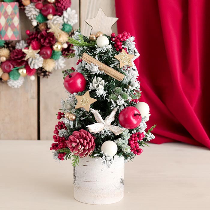 クリスマス バーチポットツリー アップルスター ホワイトxレッド