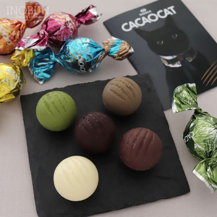 CACAOCAT 缶 14個入り CAT チョコレート DADACA プレミアム ねこ