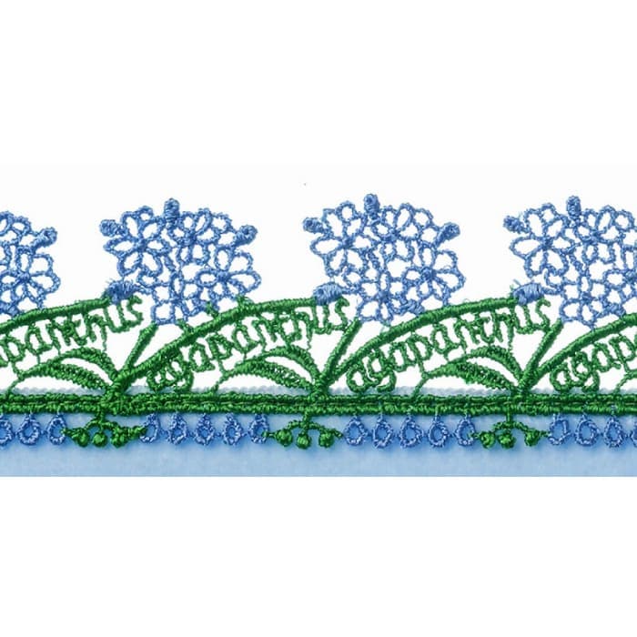 販売開始前】近沢レース店 アガパンサス アクアブルー 3月 シーズン