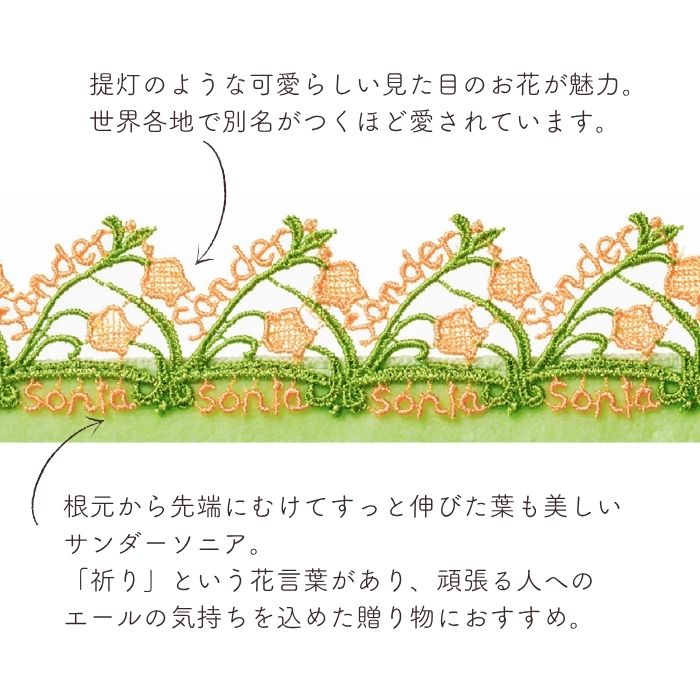 販売開始前】近沢レース店 サンダーソニア オレンジ 9月 シーズン