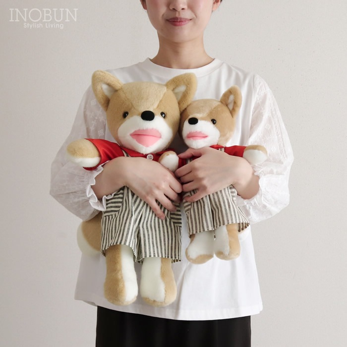 こんとあき　ぬいぐるみ S　2点セット Sサイズ登場】…やっと会えたね。 「こん」が本物のぬいぐるみに