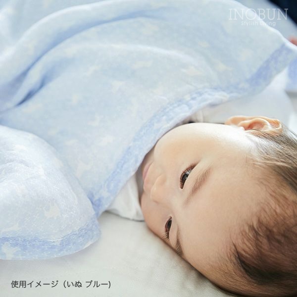白雪 湯上りタオル・白雪ベアーギフト 白雪姫 レッド バスタオル
