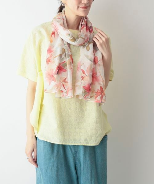 �����ץ��ȥ��硼��