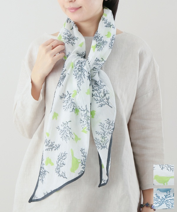 åȥ100 Сץȥ硼 16050cm