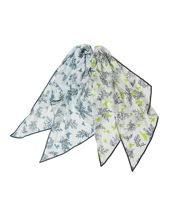 åȥ100 Сץȥ硼 16050cm