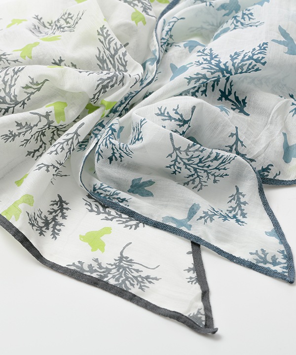 åȥ100 Сץȥ硼 16050cm