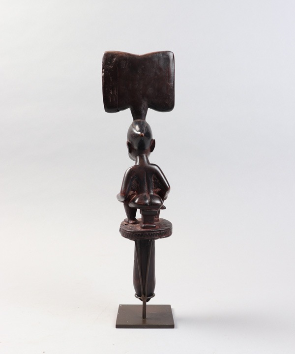 ����²��������