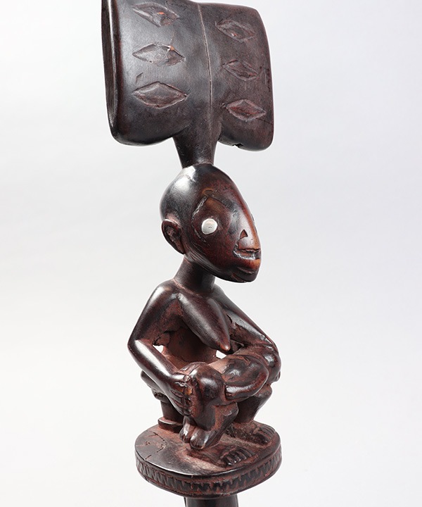 ����²��������