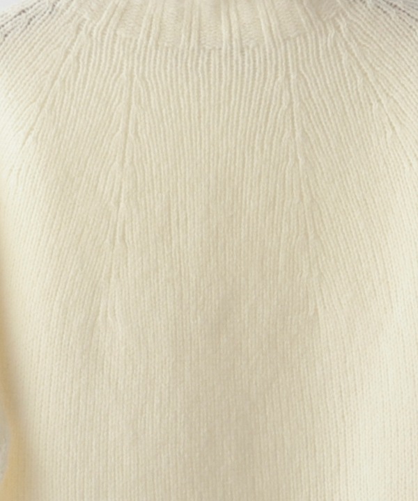 Υ󡦥ߥ塼롦ʥ륫顼ɡ롦ۡ륬ȥǥ