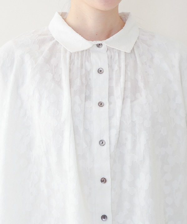 �����˼¤ä�nuts���åȥ��㥬���ɥ��㥶���֥饦��