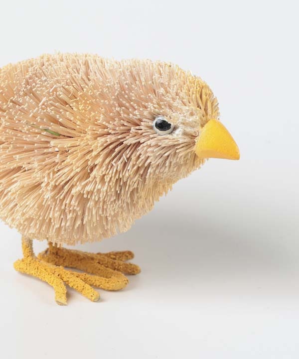 ���亮���˥ޥ� �ҥ襳