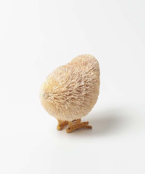 ���亮���˥ޥ� �ҥ襳