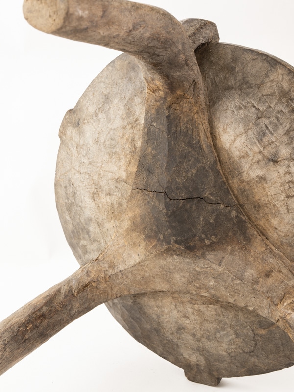 *�إ�²���ػҡ���