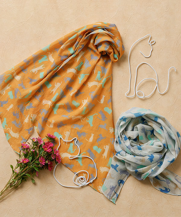 ǭ���ץ��ȥ��硼��