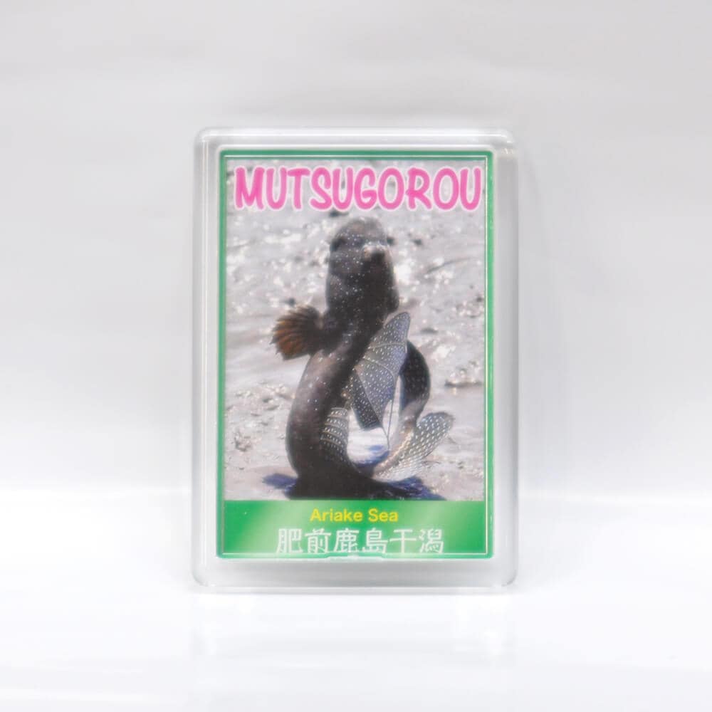 マグネット（むつごろう・ワラスボ・赤門）