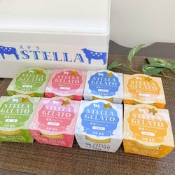 STELLA ジェラート （８個セット）