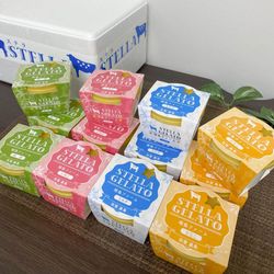 STELLA ジェラート （１２個セット）