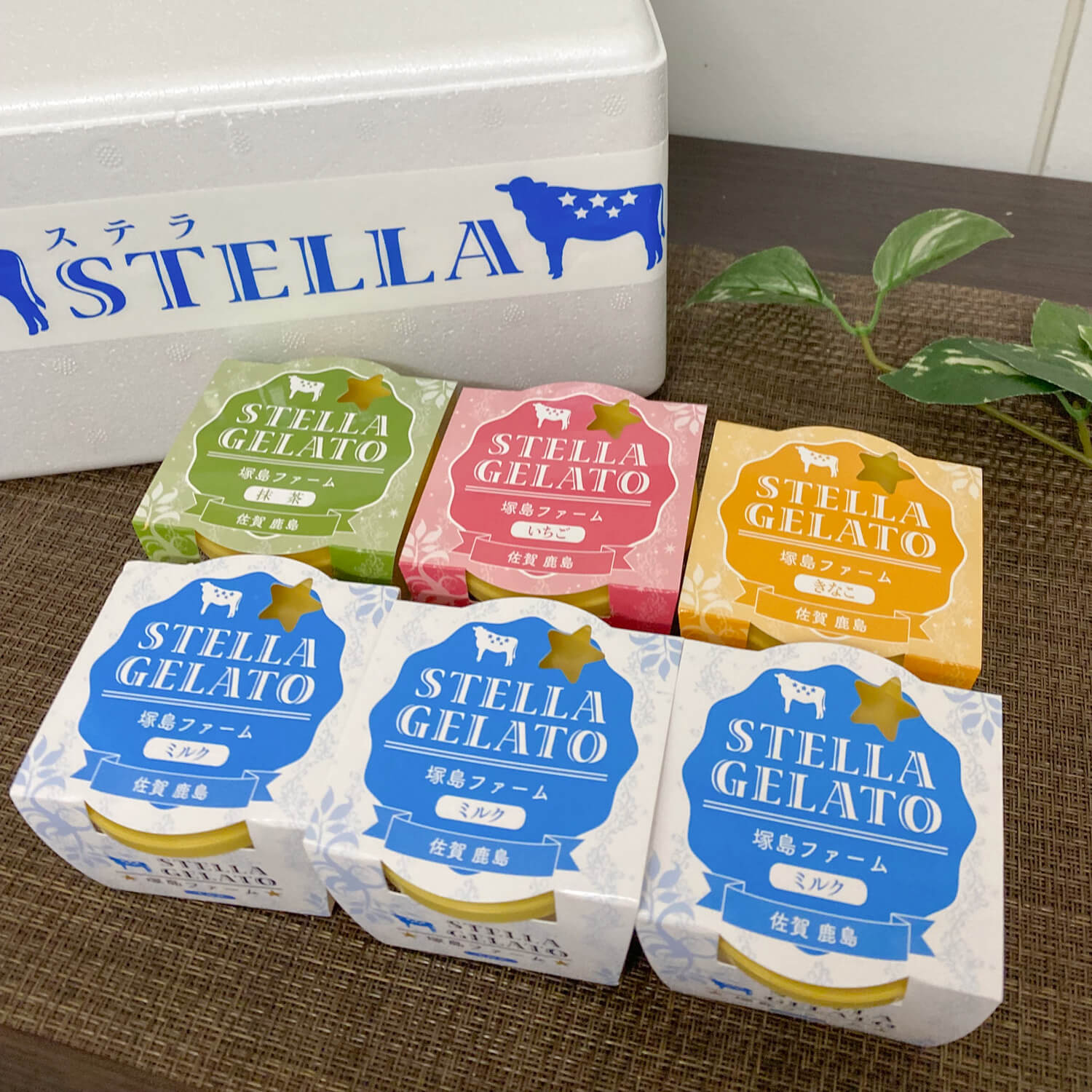 STELLA ジェラート （６個セット）