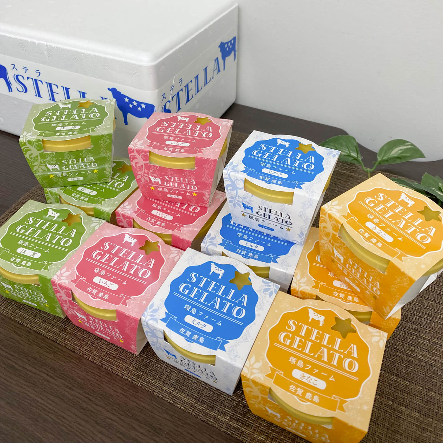 STELLA ジェラート （１２個セット）