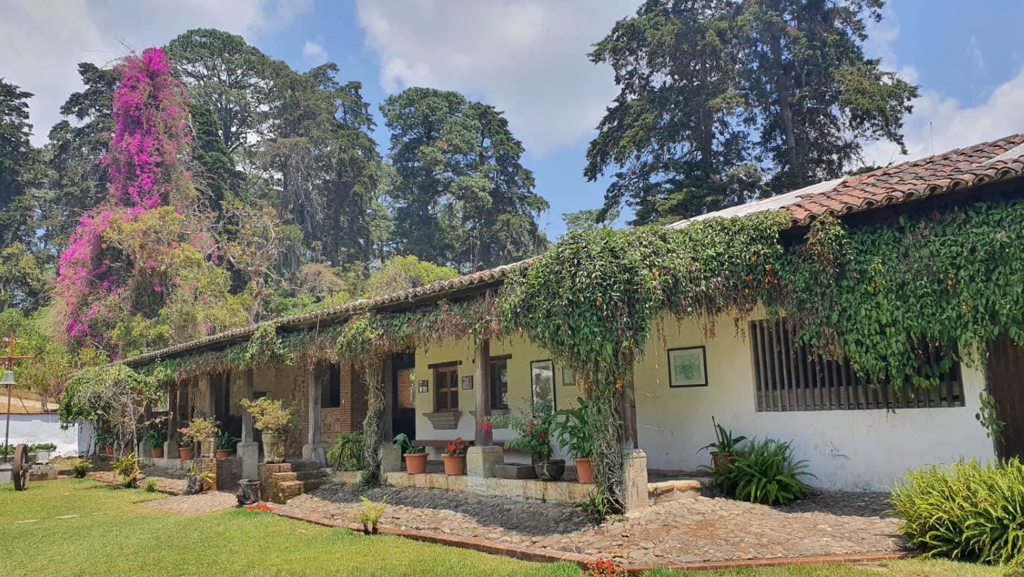 GUATEMALA SHB EP ڥƥ Ʀ900g