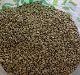 GUATEMALA ڥƥ Ʀ900g