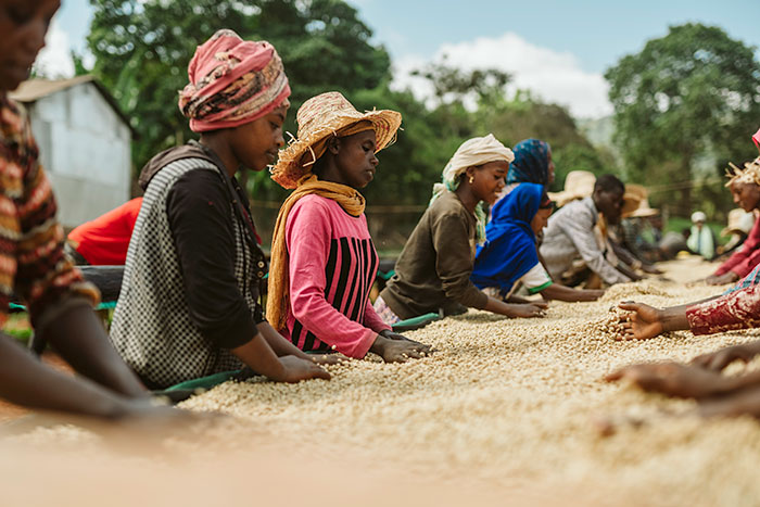 ETHIOPIAʥG1ͭ Ʀ200g