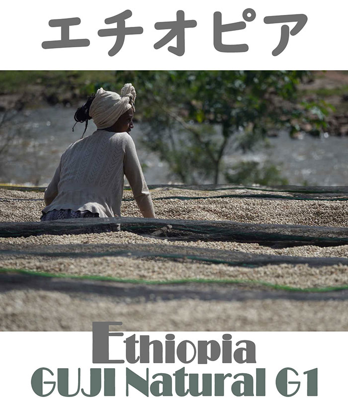 ETHIOPIA ���� �ʥ�����G1 ��Ʀ��900g��