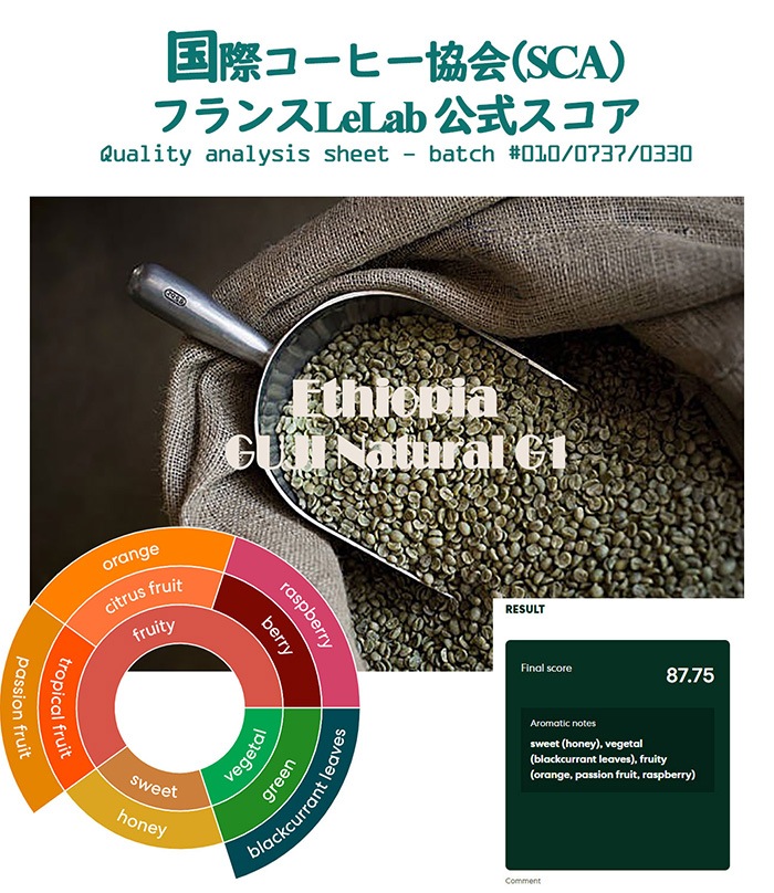 ETHIOPIA ���� �ʥ�����G1 ��Ʀ��900g��