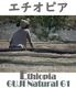 ETHIOPIA ���� �ʥ�����G1 ��Ʀ��900g��