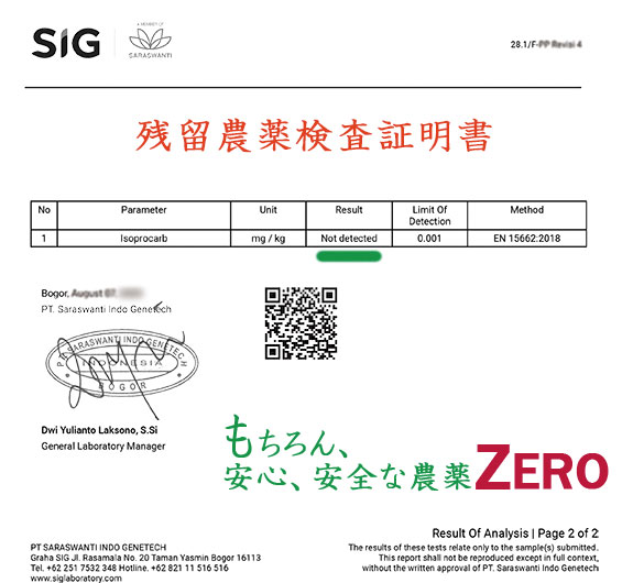 INDONESIA ڥƥG1Ʀ 900g