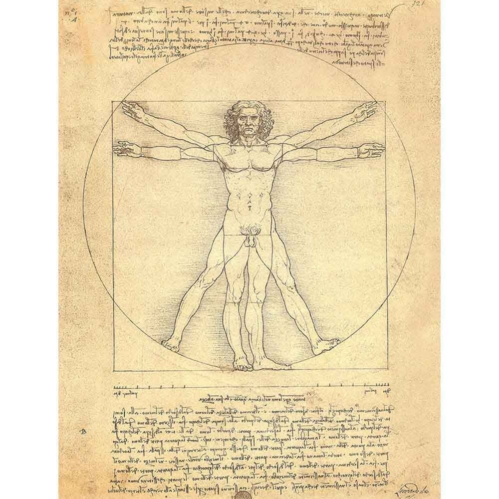 額装品/ウィトルウィウス的人体図/ダ ヴィンチ ウィトルウィウス的人体図 【6号】 レオナルド・ダ・ヴィンチ