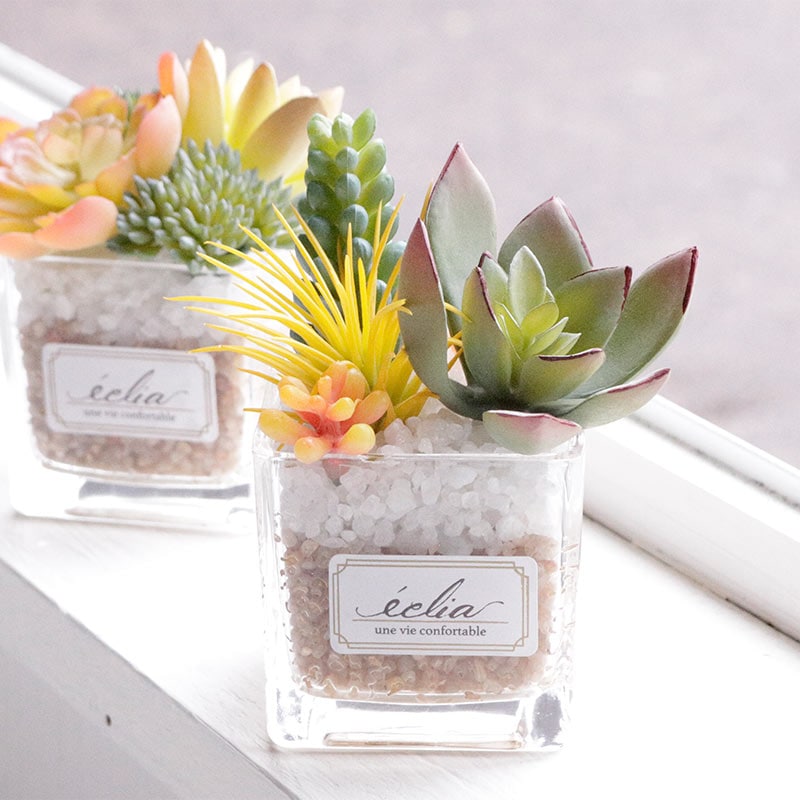 CT触媒 エクリア 消臭アーティフィシャルグリーン S