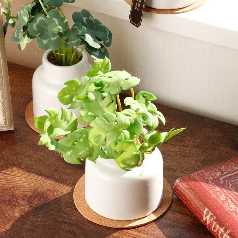 CT触媒 エクリア グリーナリーライフ 消臭アーティフィシャルグリーンS モンステラ/クローバー