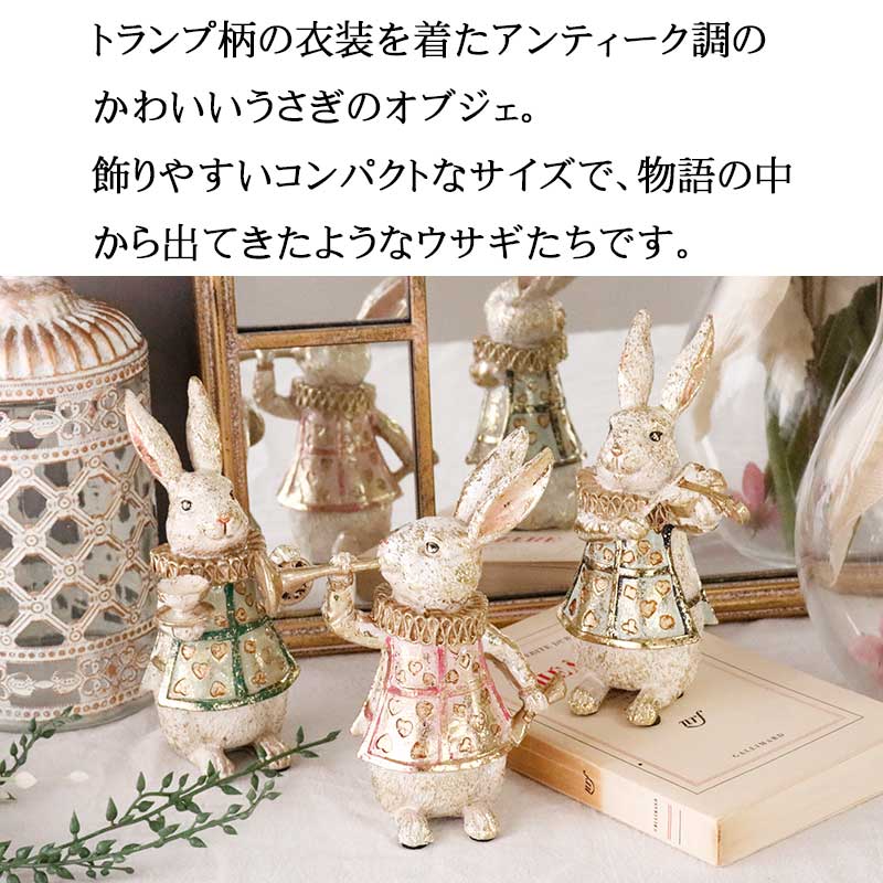 ワンダーランド ミニラビット