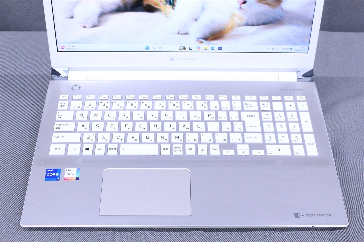 ダイナブック 東芝 良好品 2021年広々16型パワフルモデル Corei7
