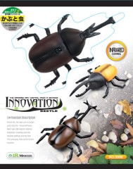 走る！！昆虫　かぶと虫