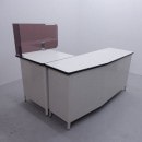 Chunichi���쥸�����󥿡�����š�W