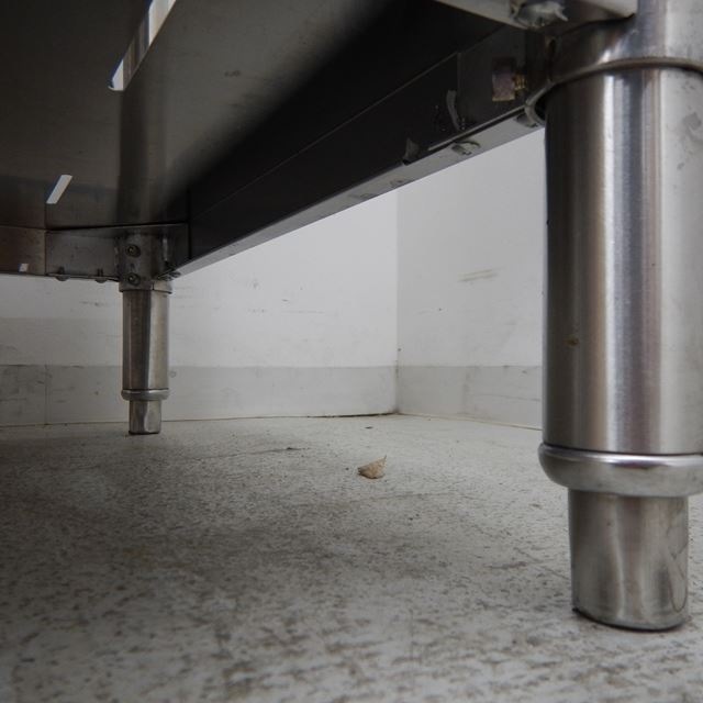 ���˥�����1�奷�󥯡����ڤ��դ�����š�BG����