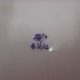 �����ҡ��ݻ�����š�22�����ꡡ
