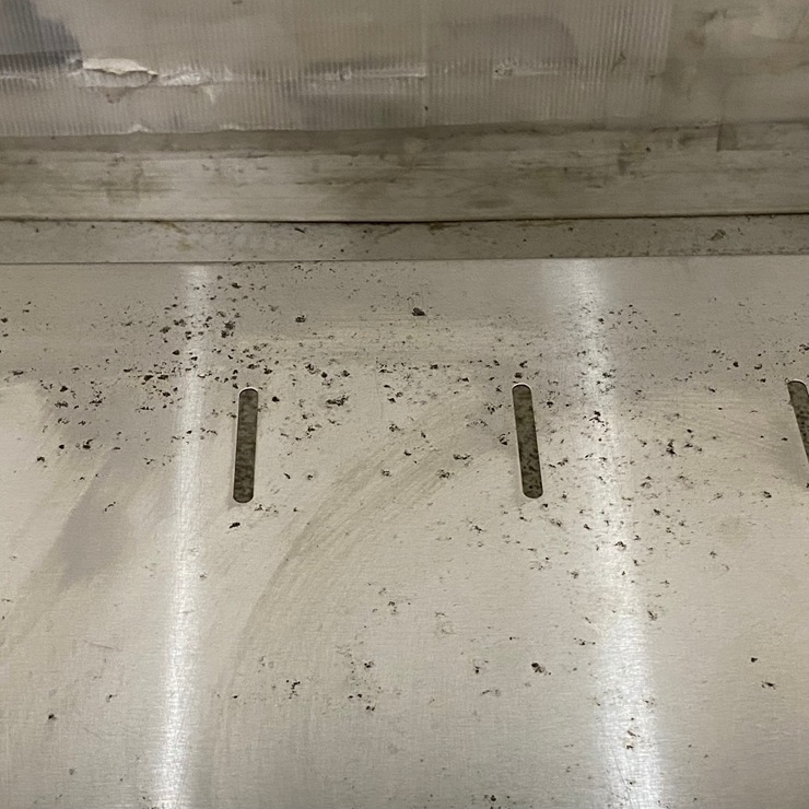 ����š� A09059 2�奷�� �ޥ를�� BS2-124   ���ƥ�쥹 ή���� W1200 x D450 �� H800(+100) mm���ڶ�̳�ѡۡڿ�˼�ѡۡڼ־��Ϥ����ϱĶȽ�ߤ��