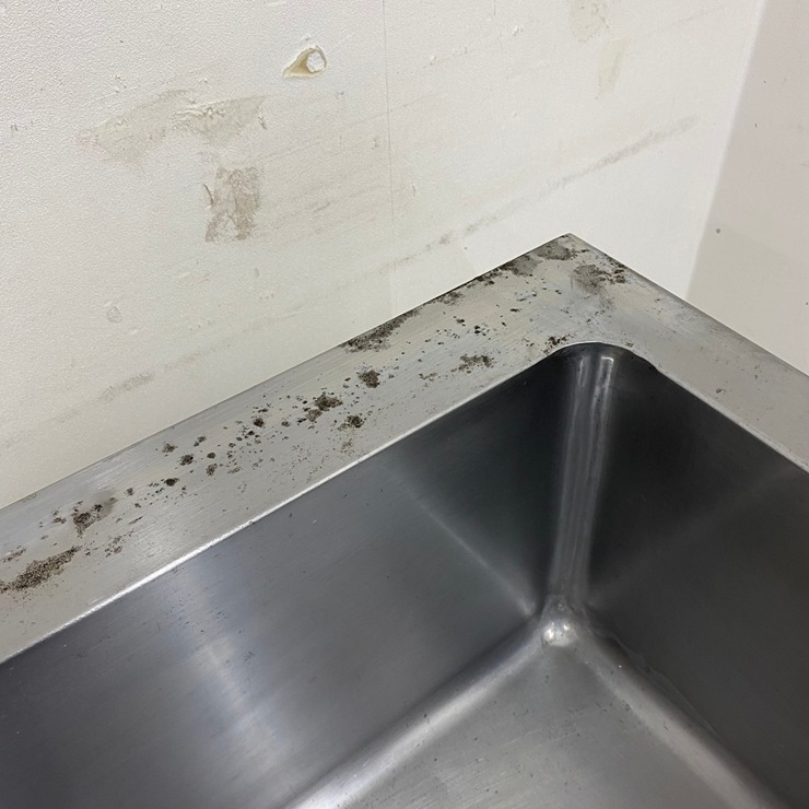 š A09127  Хå̵    ƥ쥹 ή W1200 x D600  H800 mmڶ̳ѡۡڿ˼ѡۡڼ־ϤϱĶȽߤ