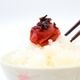 ご家庭用 ひじき梅 500g