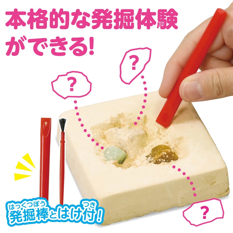 ƥå  056908 ɥɥФθкηθ 4521718569086