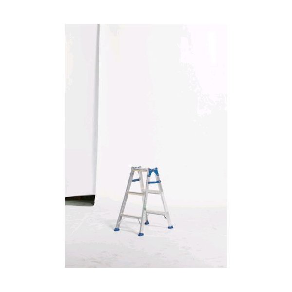 �ڸĿ���1�ġۥ��륤�� ALINCO MXJ90F ľ�� ����Բ� ���ѵ�Ω ���������� ������Ѽ��̣�������� MXJ90F 351-6610