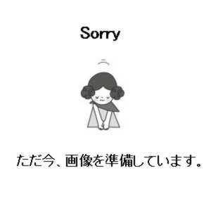 �ѥʥ��˥å��Ź� ��FY-FD2418A�� ���ؤ��ե��륿��