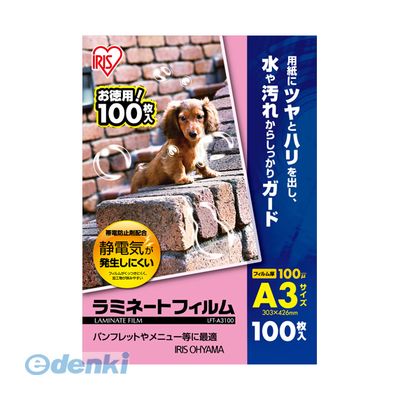 �����ꥹ�������  4905009834204 ��ߥ͡��ȥե����100�ߥ�����A3 LFT��A3100�ڣ��������