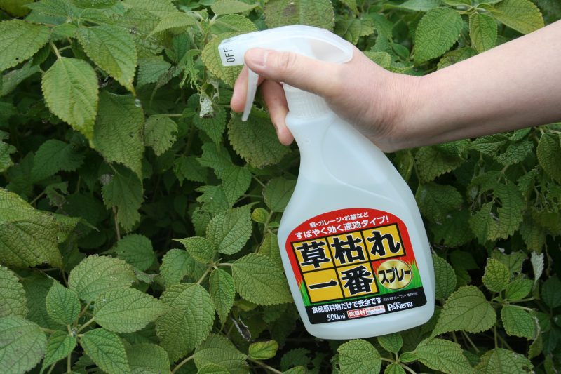 朝霧草さん専用 ノーマルカード以外 草枯れ一番スプレー 500g / 速効タイプ｜アグリ・園芸,カテゴリ,除草剤