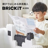 ҶDIYȶ񥻥å Brickitڥ֥ꥭåȡ